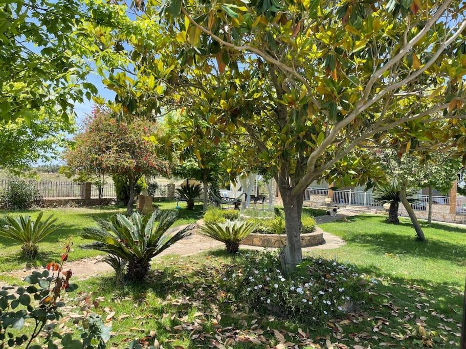 Mama'S Sunshine Garden Villa Agios Ilias  Екстер'єр фото