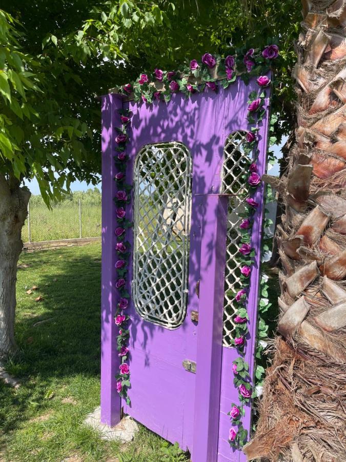 Mama'S Sunshine Garden Villa Agios Ilias  Екстер'єр фото