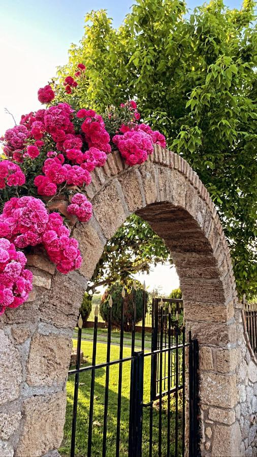 Mama'S Sunshine Garden Villa Agios Ilias  Екстер'єр фото