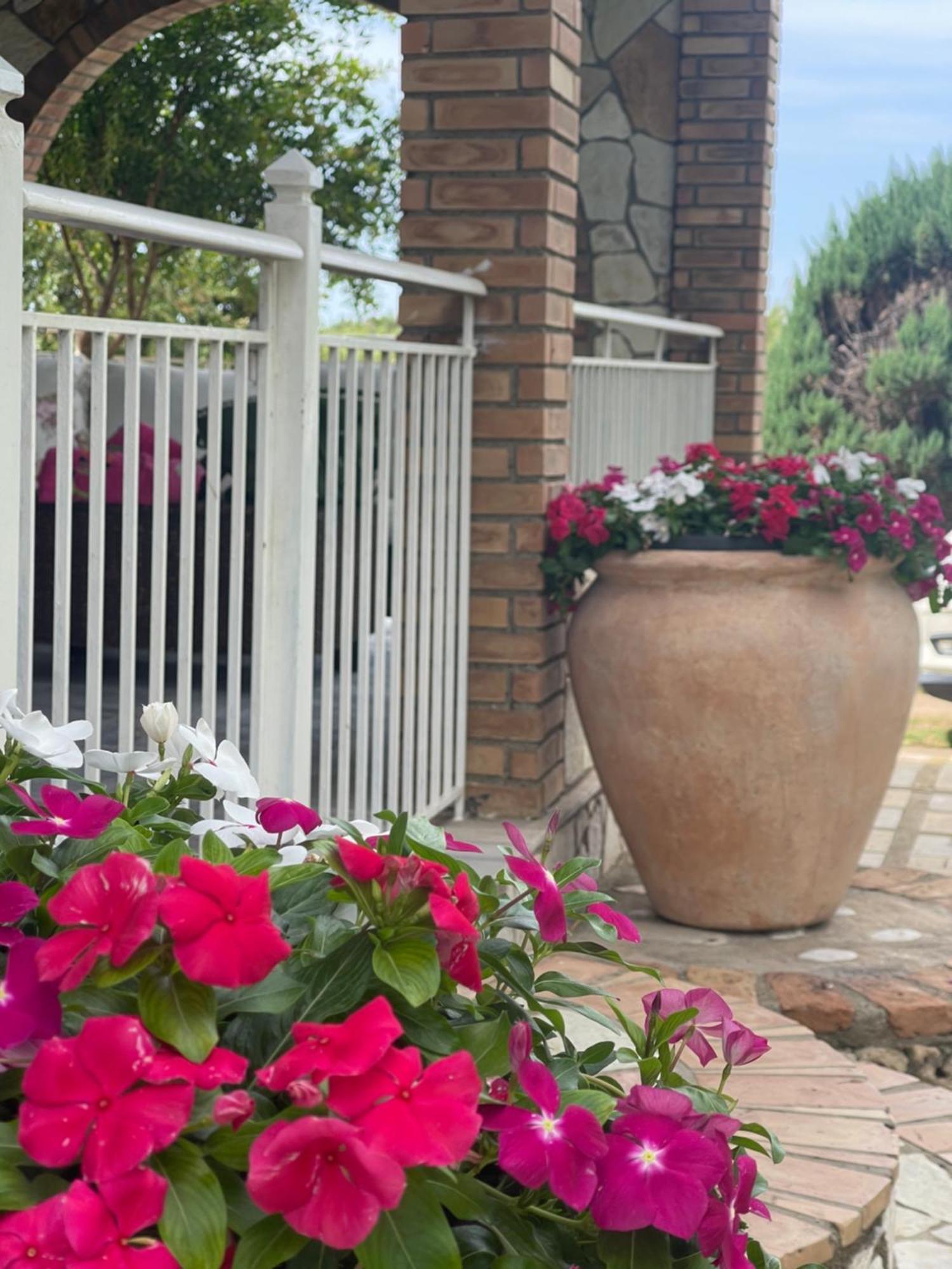 Mama'S Sunshine Garden Villa Agios Ilias  Екстер'єр фото